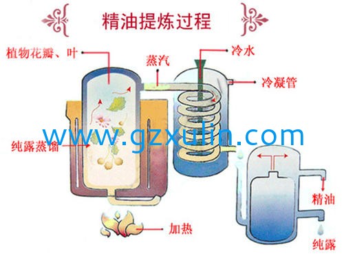 广州星空APP官网下载
精细化工有限公司